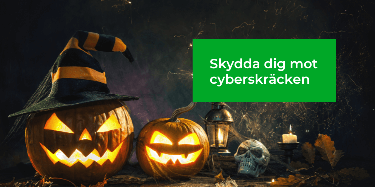 Överlevnadsguide: Så här bekämpar du cybermonstren