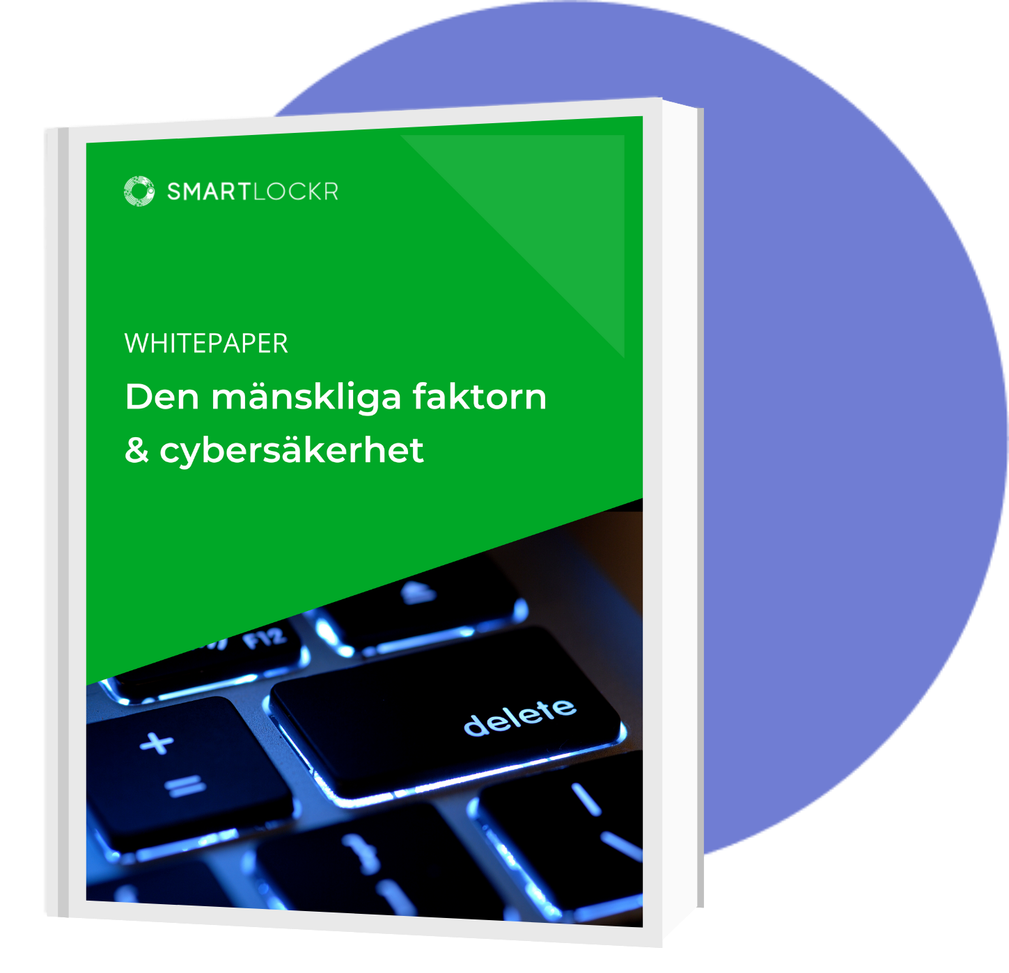 Den mänskliga faktorn & cybersäkerhet