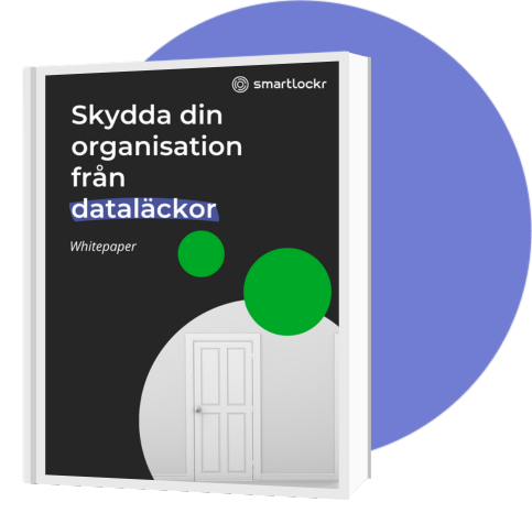 skydda-din-organisation-fran-datalackor