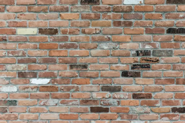 wall (1)